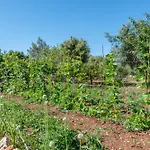 Villa La Sorteta De Cuxach Pollensa
