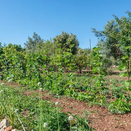 La Sorteta De Cuxach