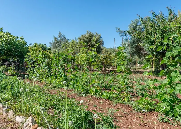 La Sorteta De Cuxach